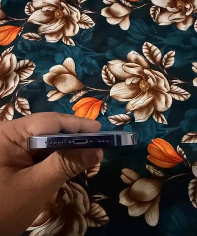 13 pro non pta h 128 gb