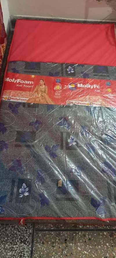 Master molty foam