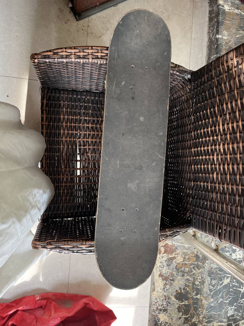 skateboard 1