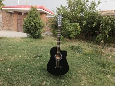 Brand New Guitar