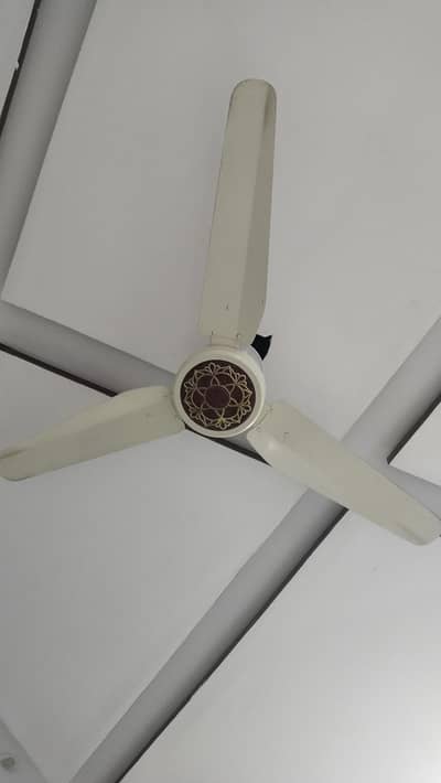 fan for sale