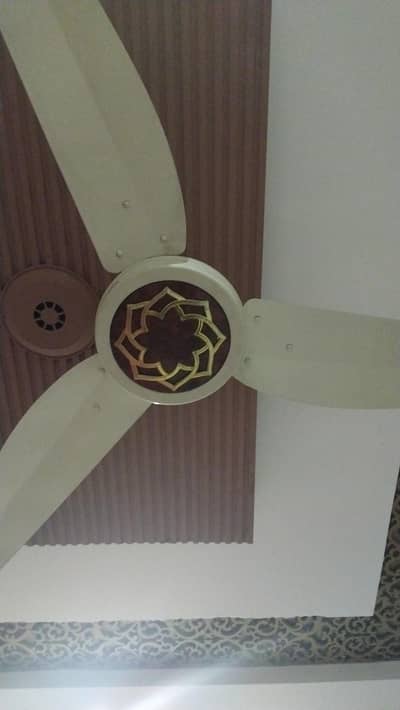 ceiling fan for sale