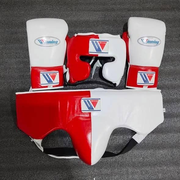 Fighting Boxing Gloves 0