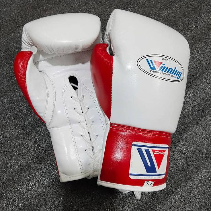 Fighting Boxing Gloves 1