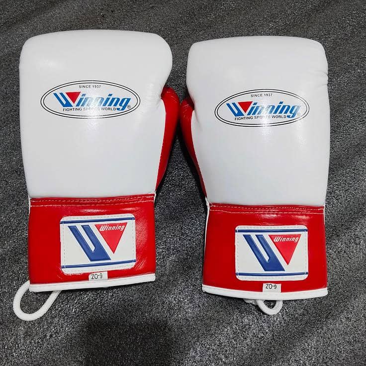 Fighting Boxing Gloves 2