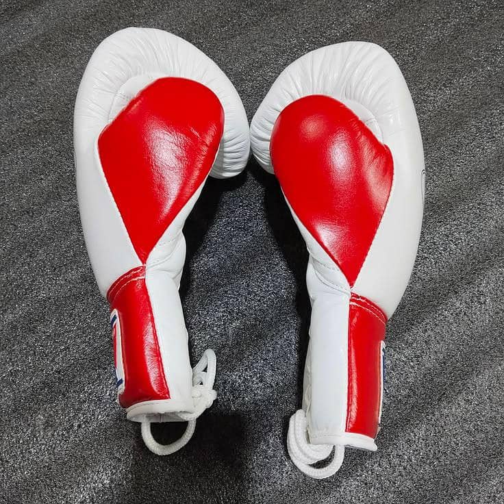 Fighting Boxing Gloves 3
