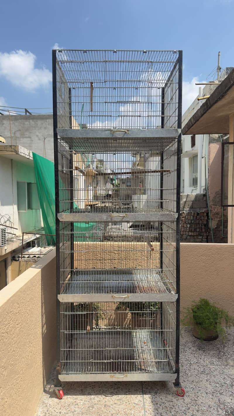 cage folding 1