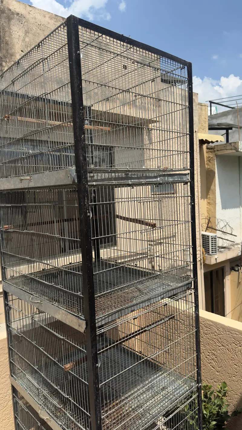 cage folding — photo 4