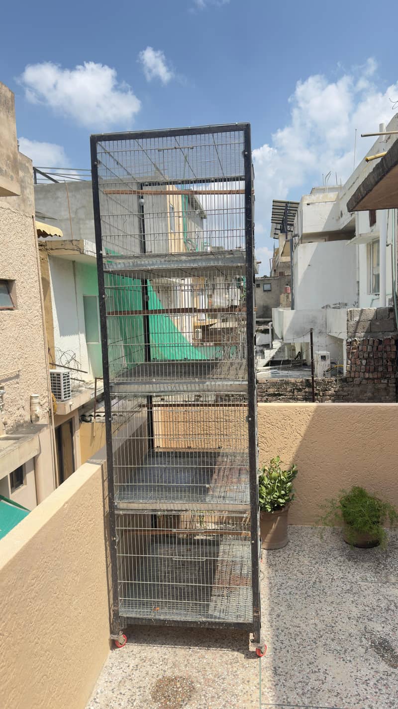 cage folding 4