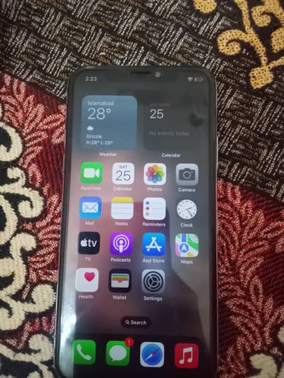 Apple iPhone X