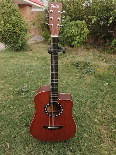 Professional Acoustic Guitar