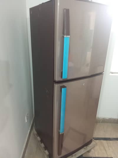 Freg for sale