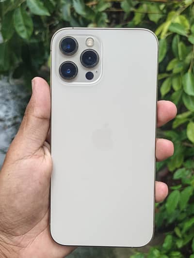 Apple iPhone 12 Pro Max