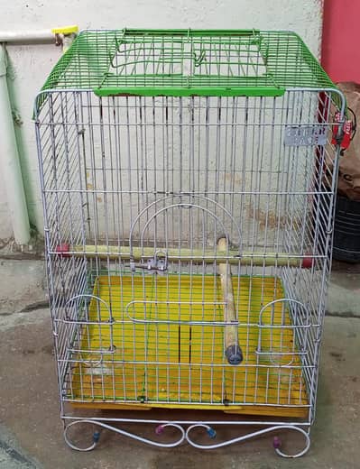 parrots cage