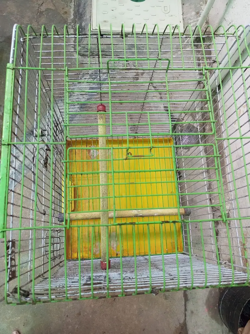 parrots cage — photo 2
