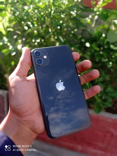 Apple iPhone 11