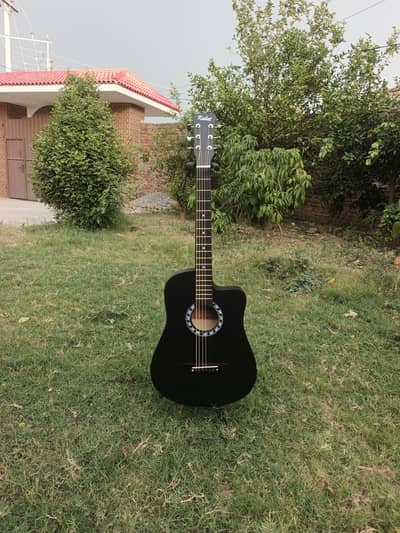 New New Guitar