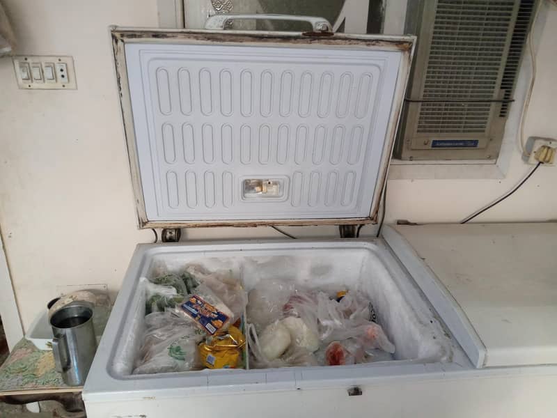 DEEP FREEZER 1