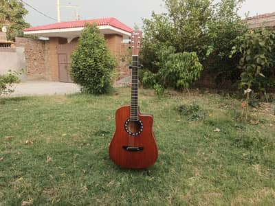 New Guitar Acoustic Guitar