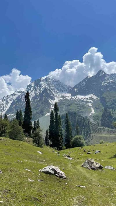 Mughees Khan