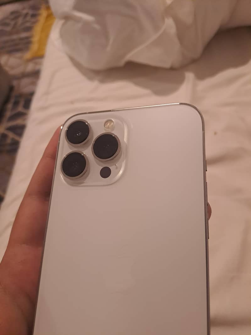 iPhone 13 Pro Max 1