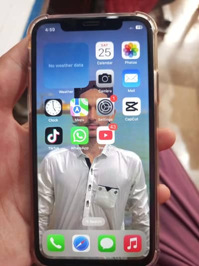 Apple iPhone X