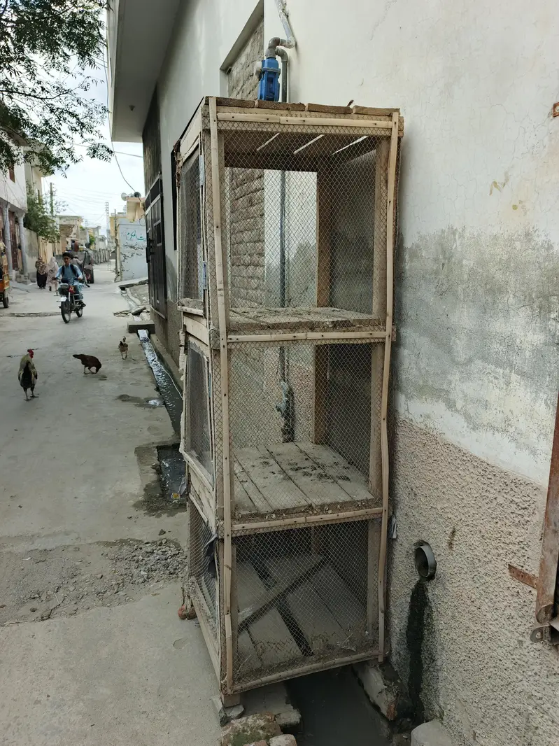 hen cage for sell — photo 2