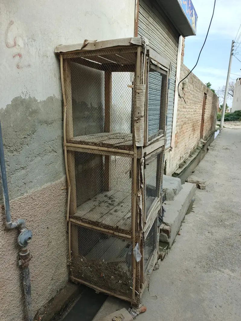 hen cage for sell — photo 3