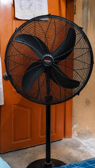Royal Pedestal Stand Fan For Sale