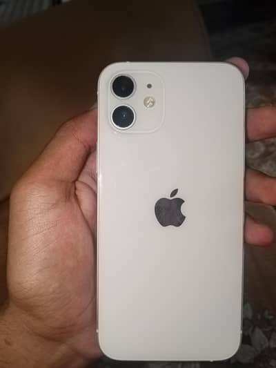 Apple iPhone 12