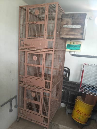 parrots cages