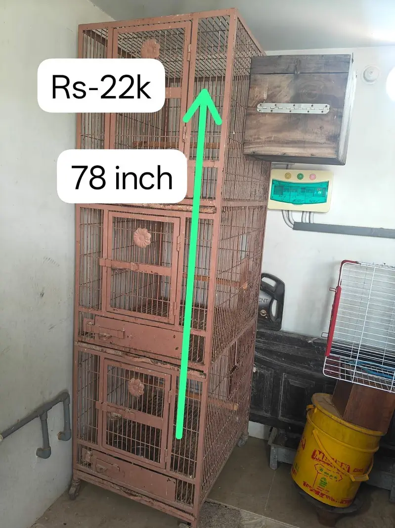 parrots cages — photo 2