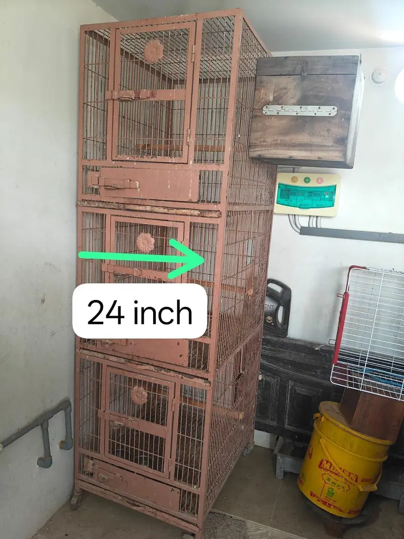 parrots cages — photo 3