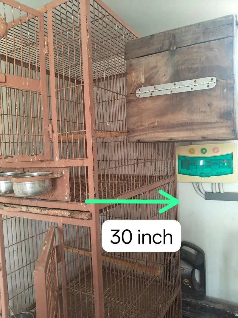 parrots cages — photo 4