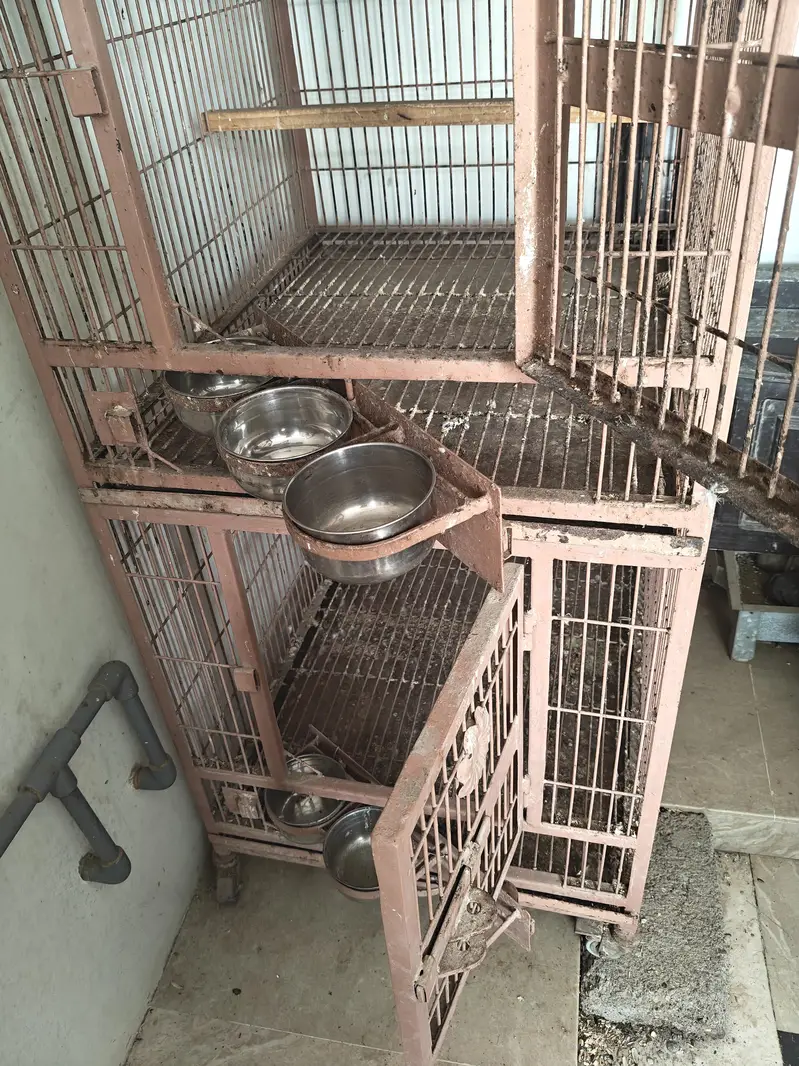 parrots cages — photo 5