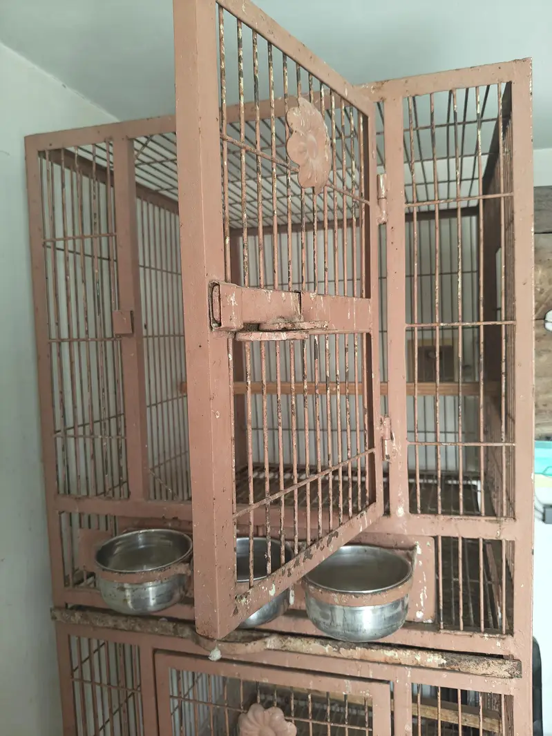 parrots cages — photo 7