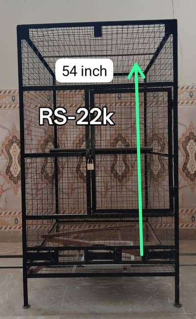 parrots cages