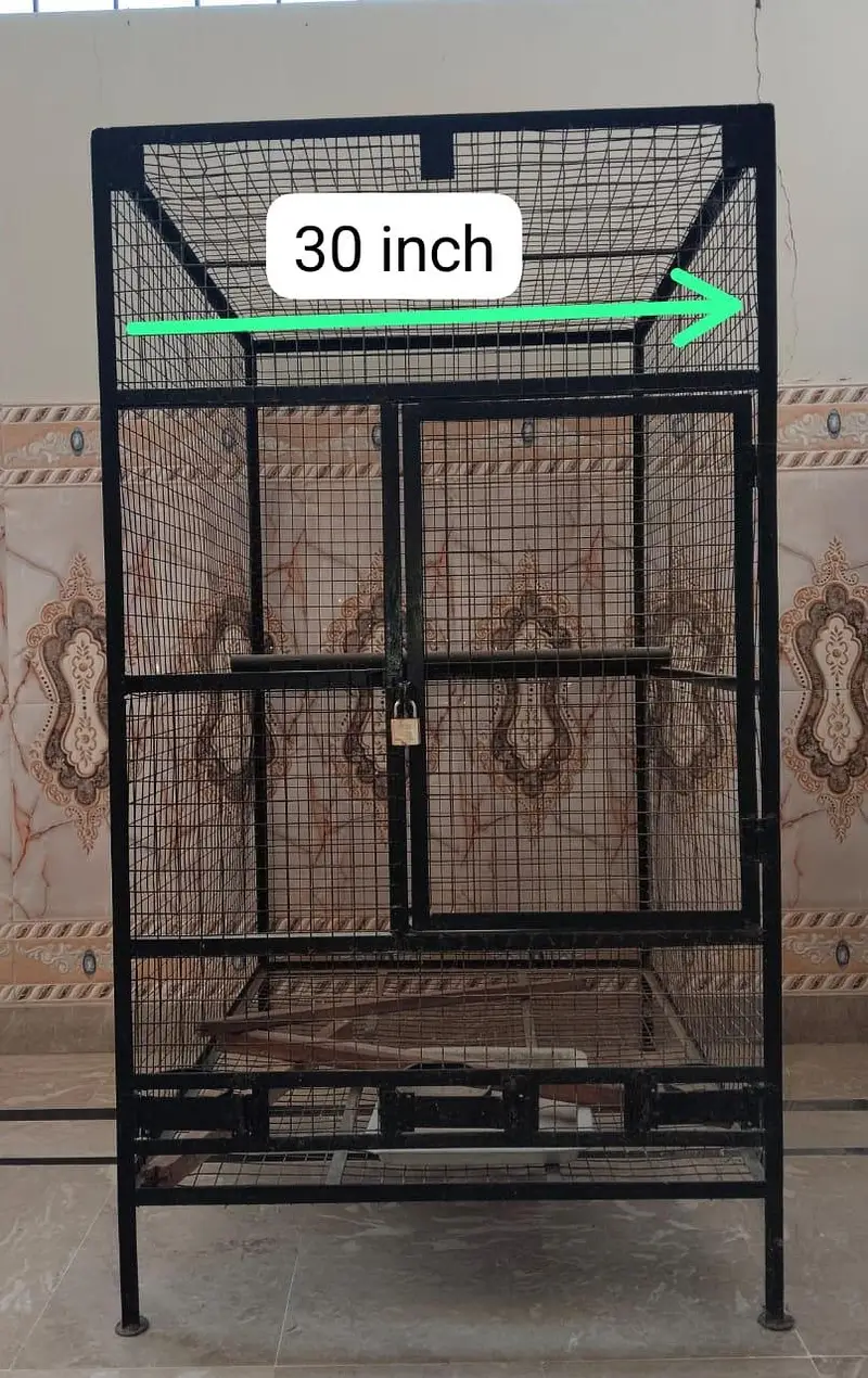 parrots cages — photo 10