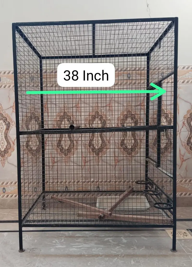 parrots cages — photo 11