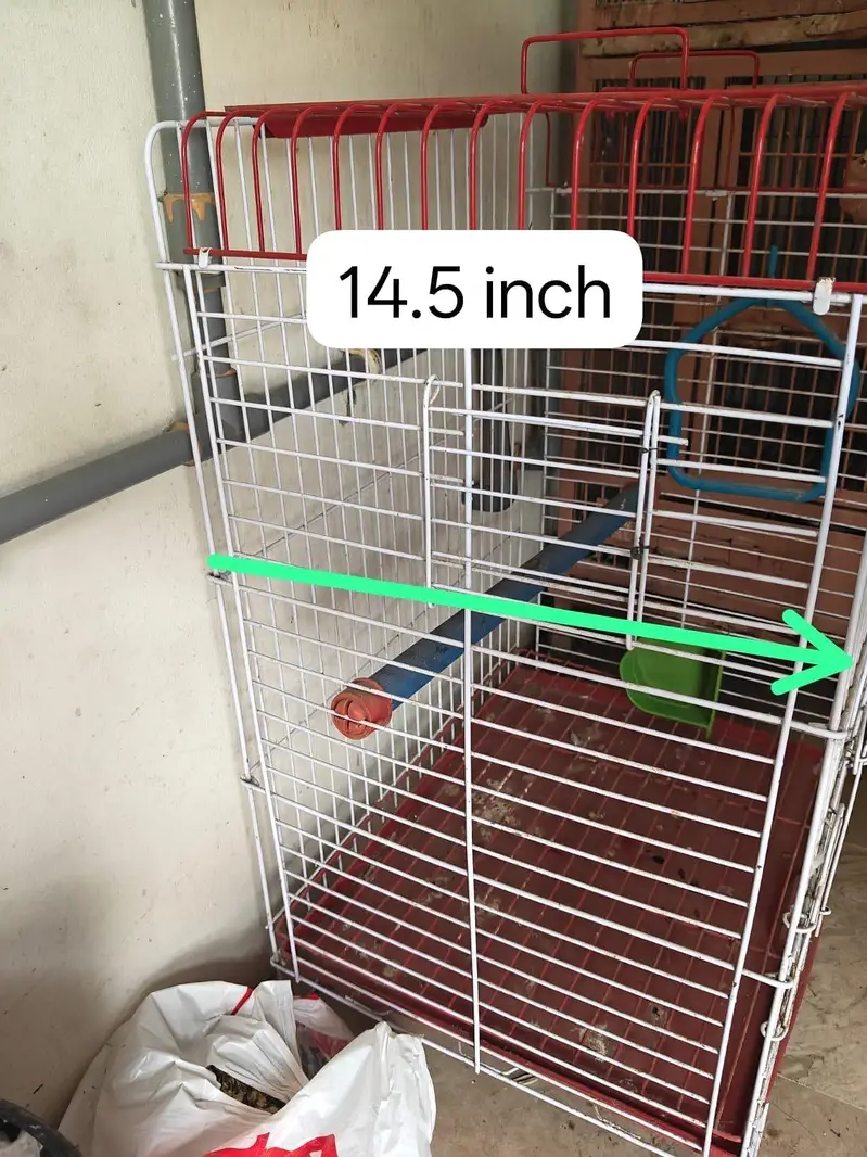 parrots cages — photo 12