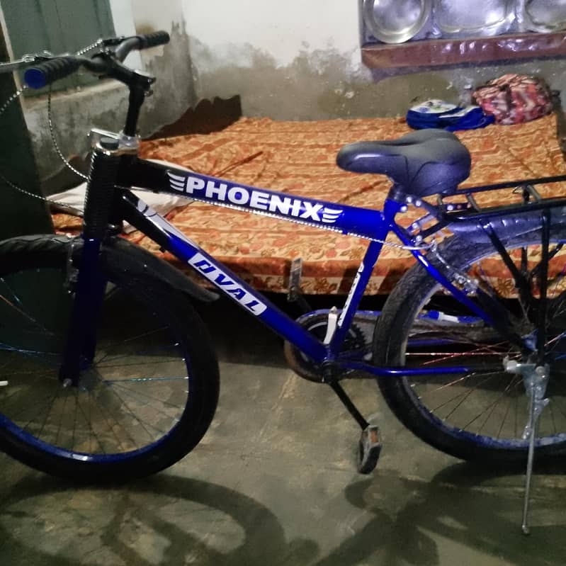 bycycle 0