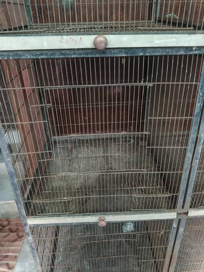 birds cage
