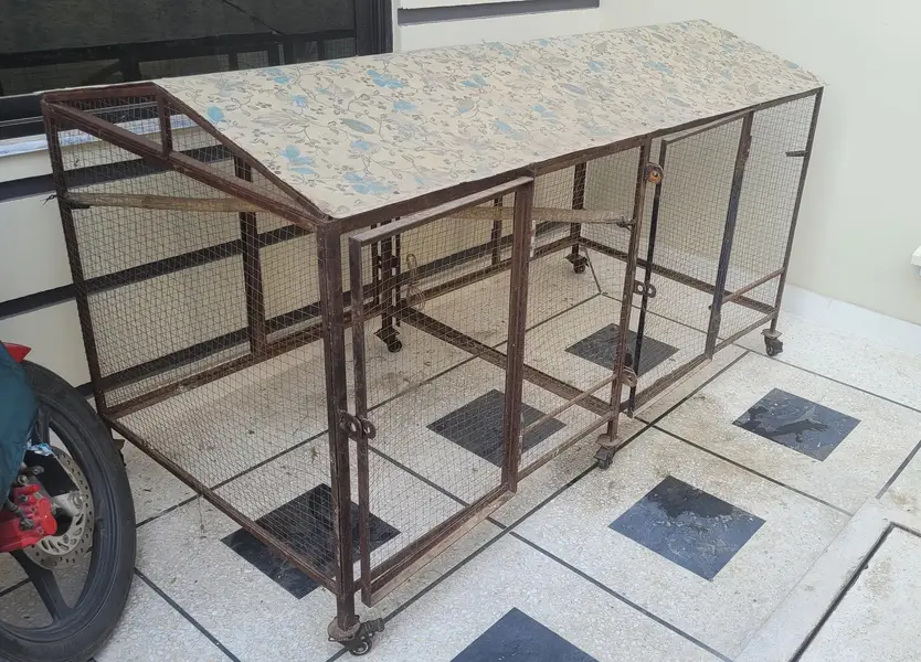 Cage | Parrot cage | Iron cage | Hens cage | Solid cage