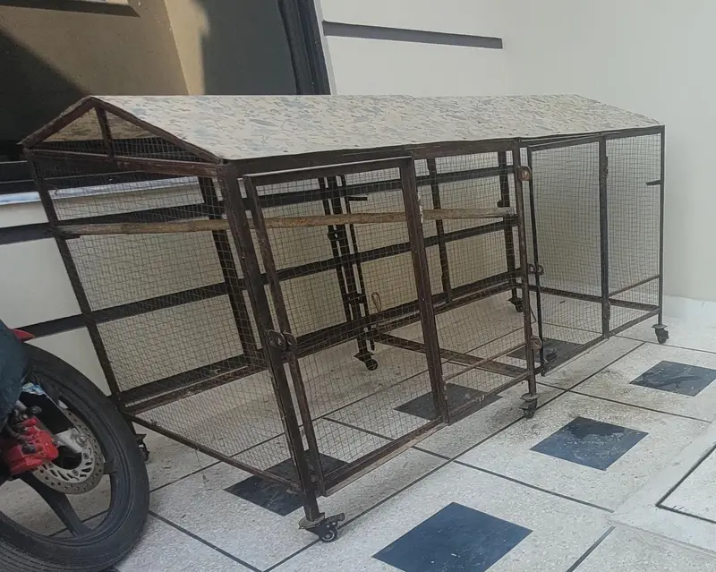 Cage | Parrot cage | Iron cage | Hens cage | Solid cage — photo 3