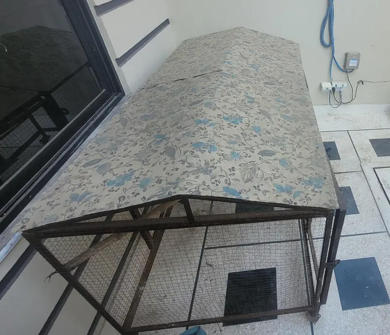 Cage | Parrot cage | Iron cage | Hens cage | Solid cage — photo 4