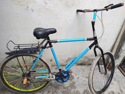 phoenix cycle