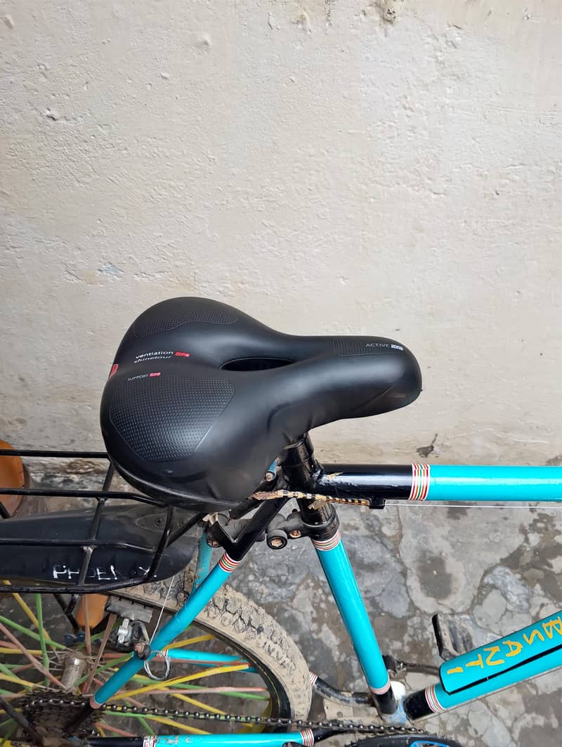 phoenix cycle 5
