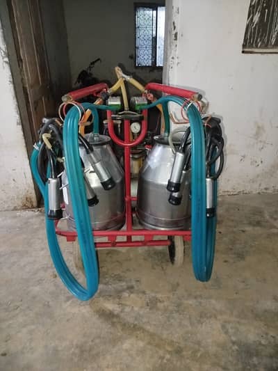 Imported sutuzer milking machine double bucket