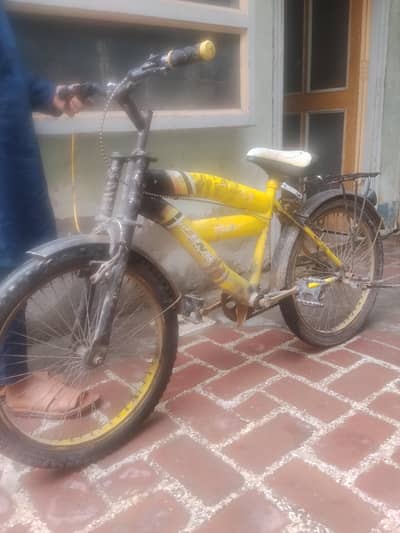 kifs cycle