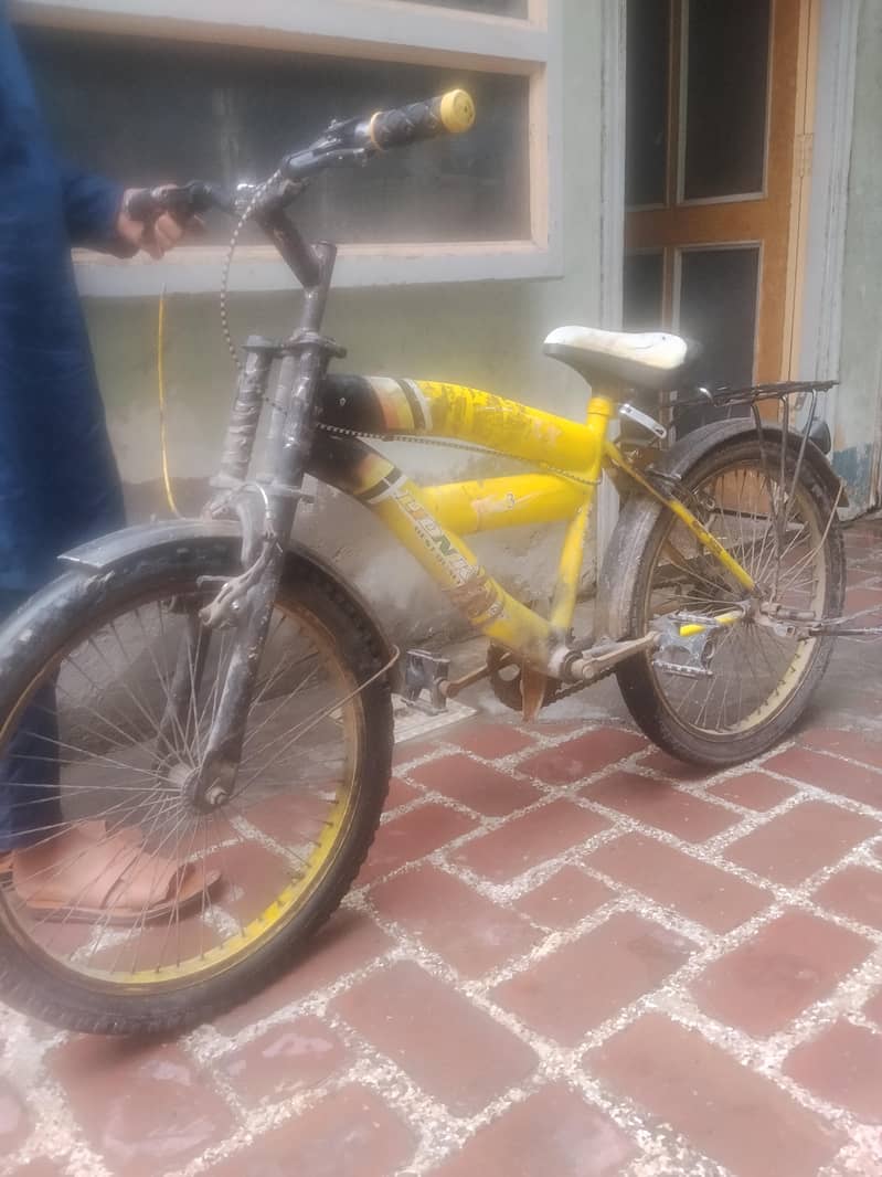 kifs cycle 0